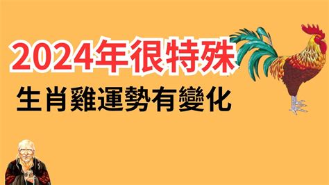 生肖雞顏色|雞年開運色：2024年必備指南